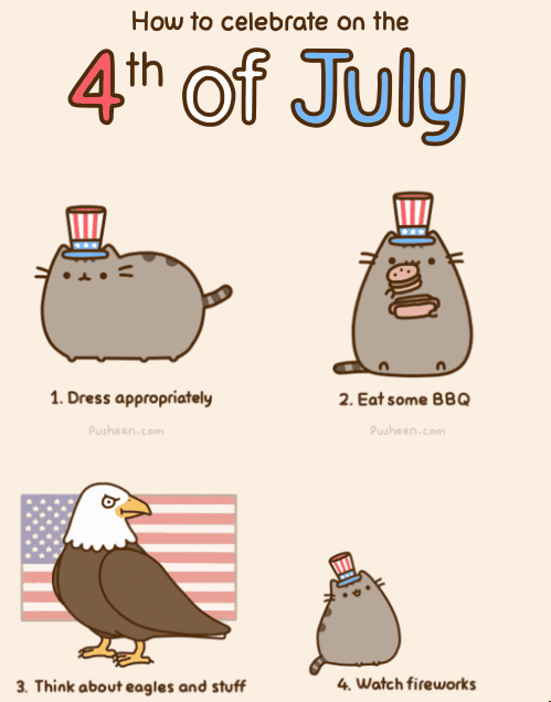 Pusheen On How To Celebrate 4th Of July