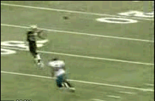 Reggie Bush Hit