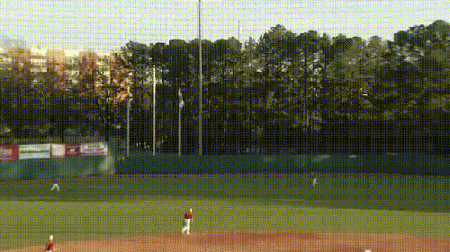 Baseball Catch Like A Boss