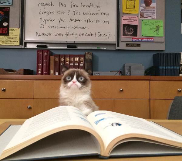 Grumpy Cat Frown
