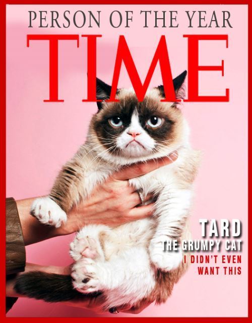 Grumpy Cat Person Of The Year