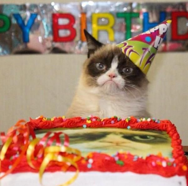 Happy Birthday Grumpy Cat