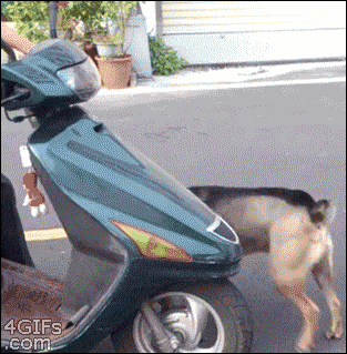 Lets Go For A Ride