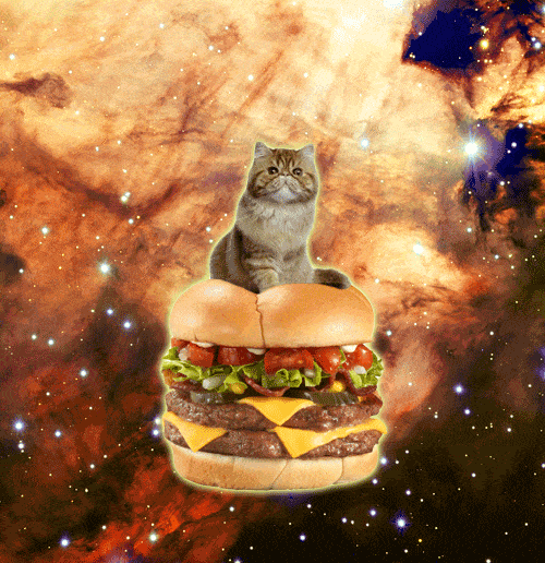 Cat Riding A Cheeseburger In Space
