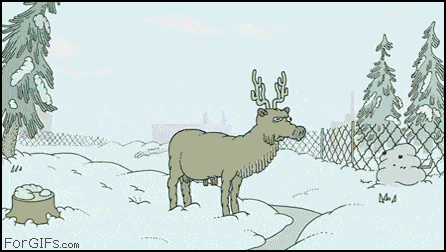 Internet GIFs Extreme Reindeer
