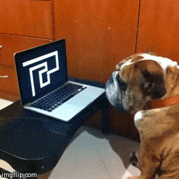 Dog Not Into Internet Pranks