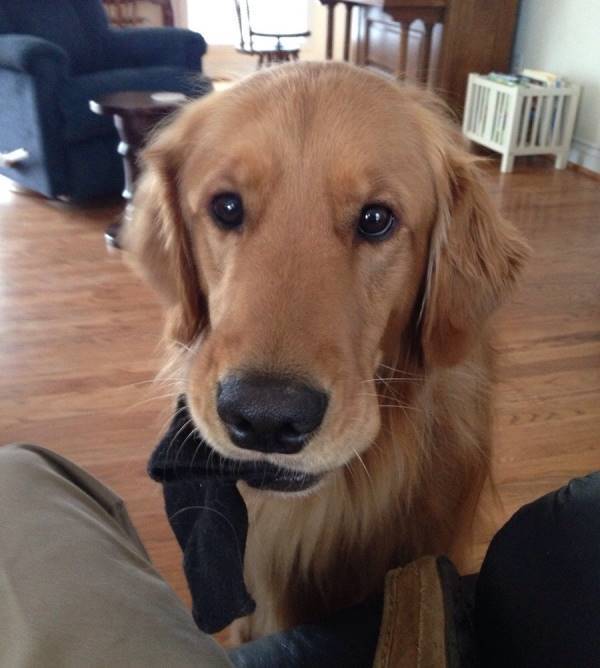 Sock