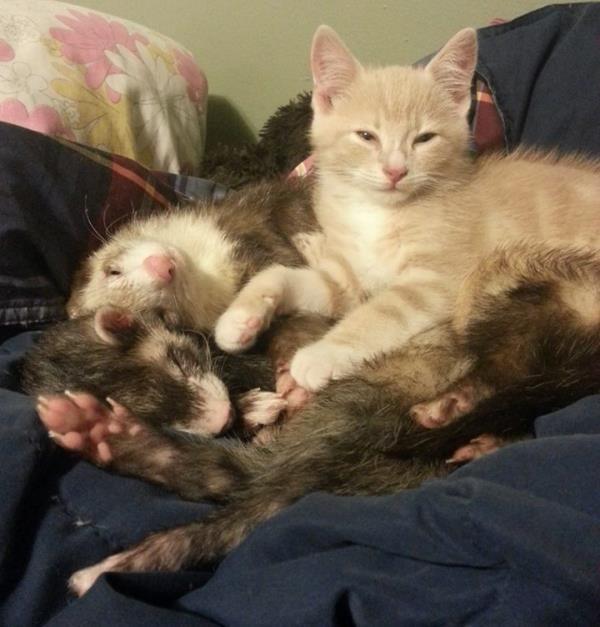 Caught In The Act