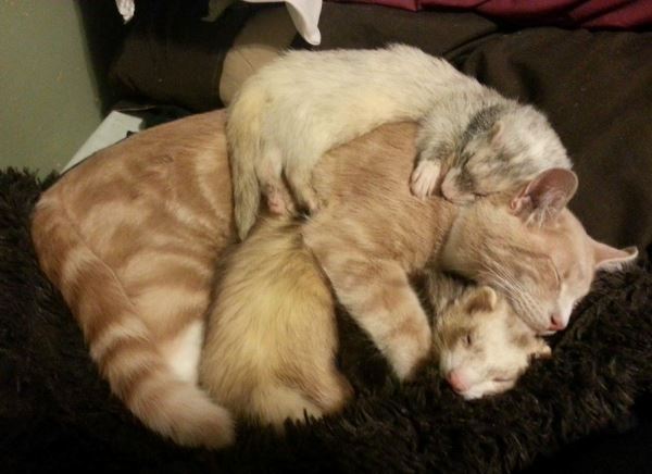 Sleeping