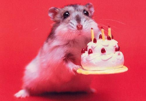 35 Perfect Happy Birthday GIFs To Send To Friends & Family