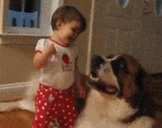 Baby And Saint Bernard