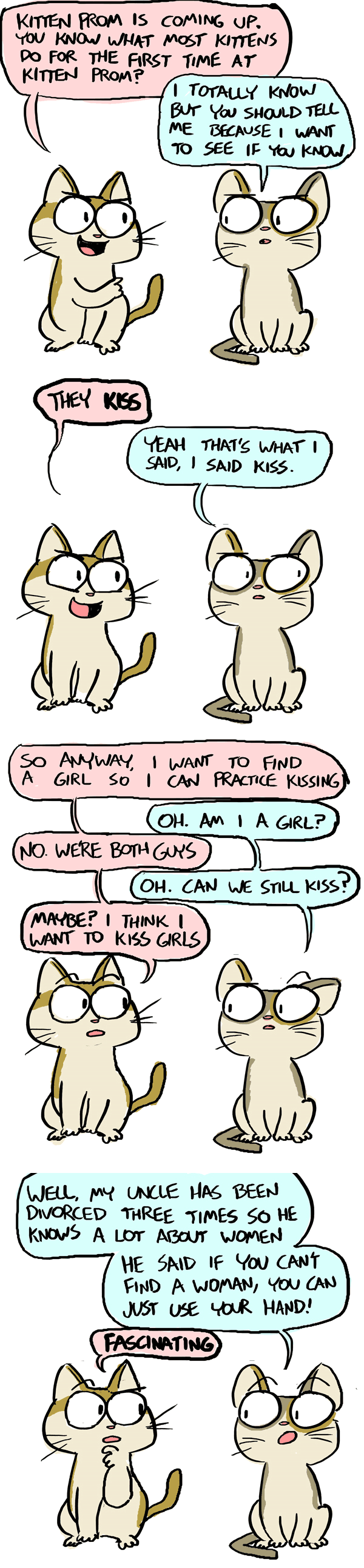 Kitten Prom