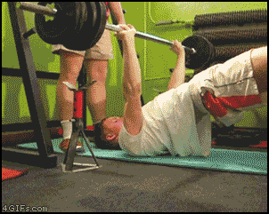 Weight Lifting Video Ruined By Dog