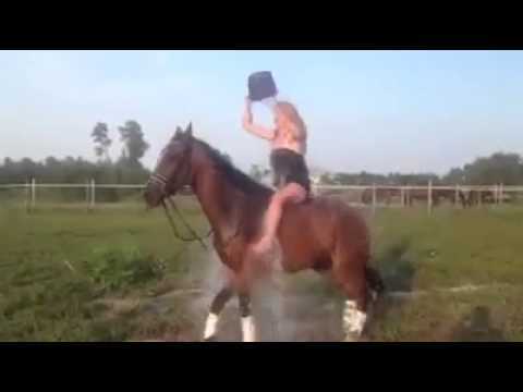 Why You Should Never Do The Ice Bucket Challenge On Top Of A Horse
