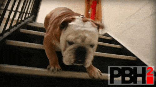 Running Down The Stairs