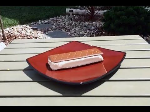 You’ll Never Want To Eat Another Walmart Ice Cream Sandwich After You See…