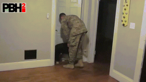 Heartwarming GIFs Of Dogs Welcoming Soldiers Home