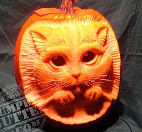 pumpkin-carvings-cat