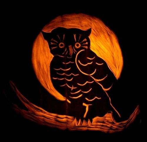 pumpkin-carvings-owl