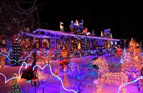 Crazy Christmas Decorations Horse