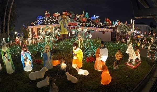 Crazy Christmas Decorations Lamb