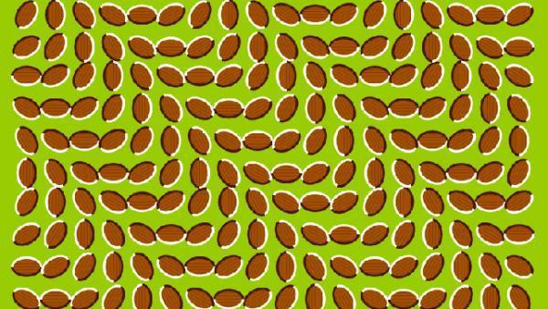 Optical Illusions