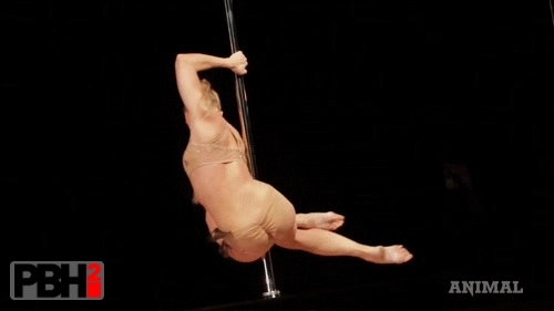 pole dancing dress