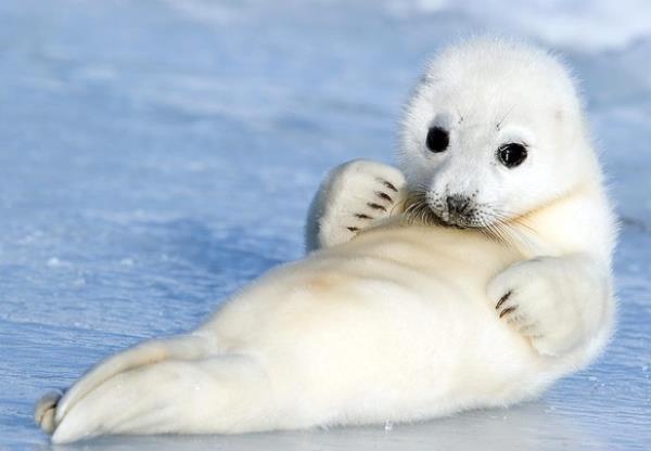 Cute