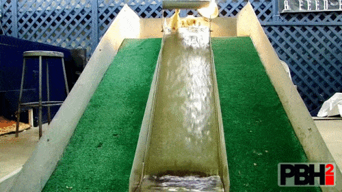 Ducklings On Water Slide