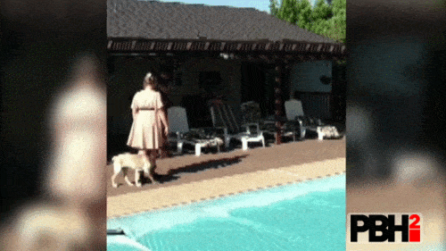 do not dance when your dog is with you