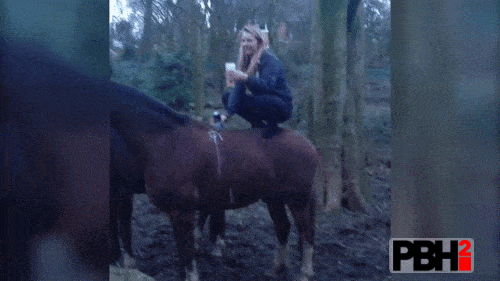never try to stand on the back of a horse