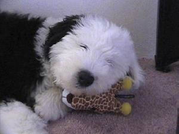Sleeping