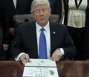Me Funny Draw Trump Gifs